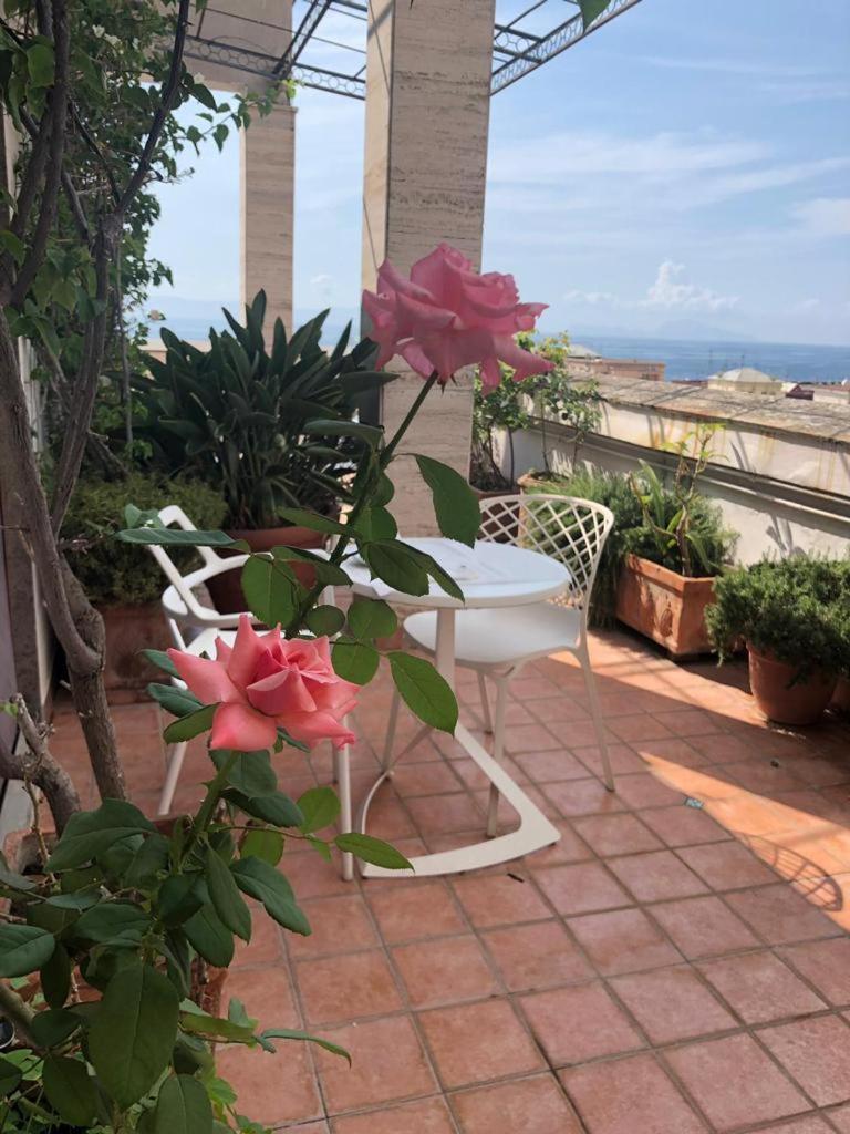 B&B Casamiranapoli Exteriér fotografie